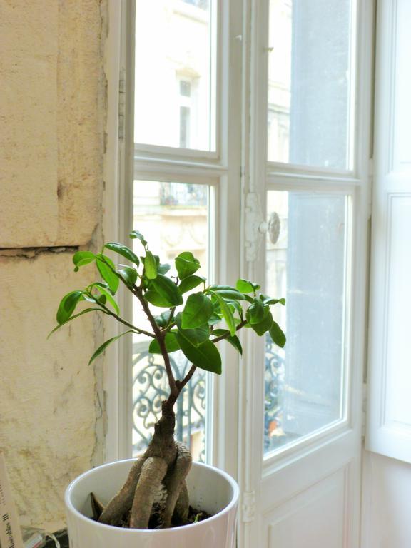 L'Appart D'Oli Et Tiane Bordeaux Pokój zdjęcie